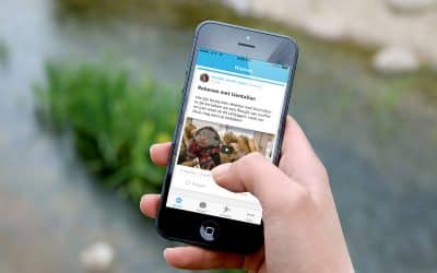 KidsKonnect maakt met overname Social Schools entree in het basisonderwijs