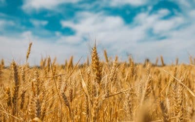 Impact van Oekraïne op private equity