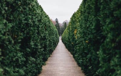 BB Capital’s Friday Feed – Edition #18